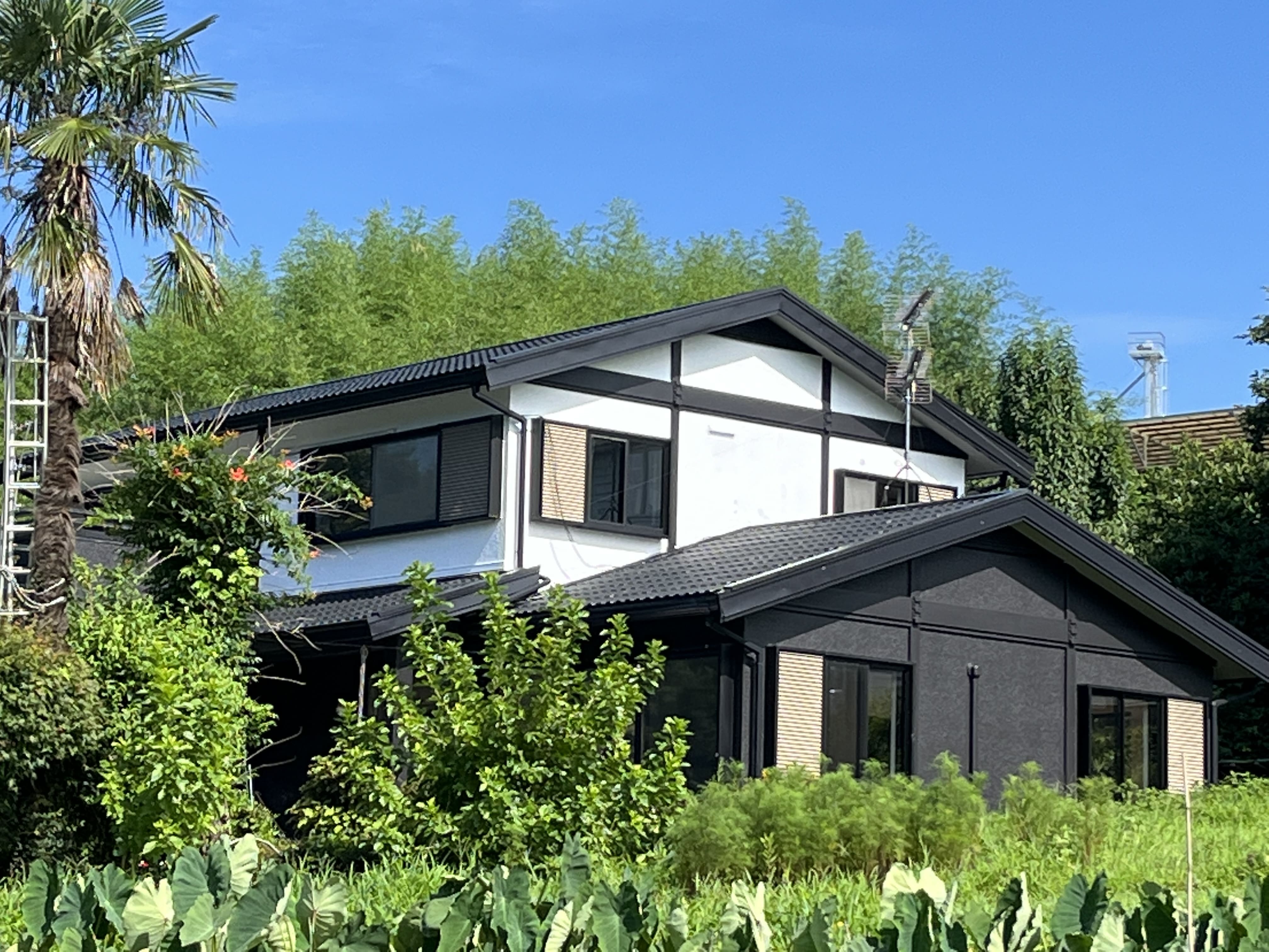 外壁塗装事例【風景になじむ白黒基調の住宅に/埼玉県】